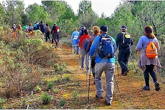 Vila Es Baulo Pleta Can Picafort  Horská chata